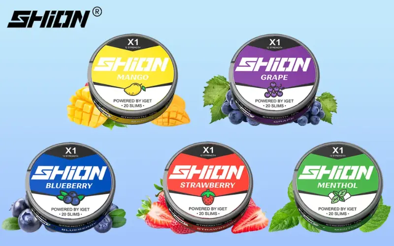 無煙タバコ おすすめ:IGET Shion ニコチン パウチ