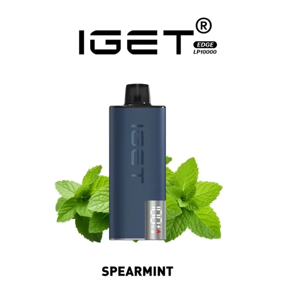 IGET EDGE LP10000 KIT - スペアミント（Spear Mint）