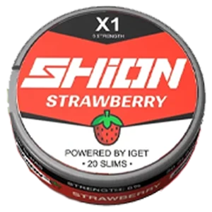 IGET Shion x1 ニコチン・パウチ