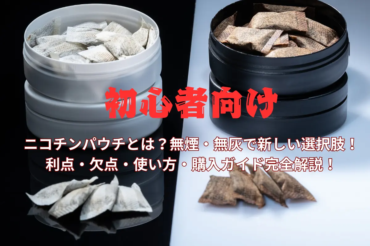【初心者必見】ニコチンパウチとは？無煙・無灰で新しい選択肢！利点・欠点・使い方・購入ガイド完全解説！