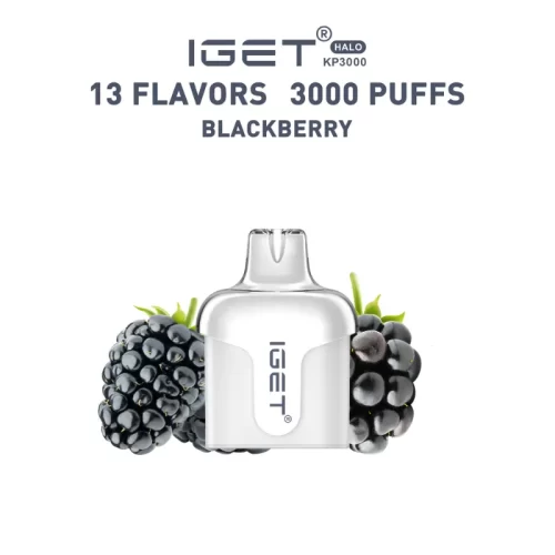ブラックベリー (Blackberry) – IGET Halo Pod 3000 Puffs